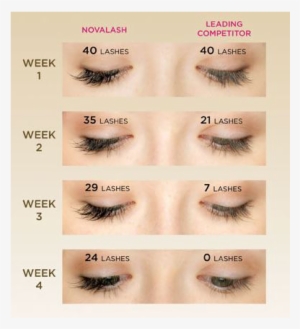 Eyelash Png Download - Lash Extensions After 4 Weeks #2963148