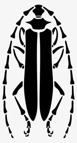 This Free Icons Png Design Of Longhorn Beetle Stencil #2963375