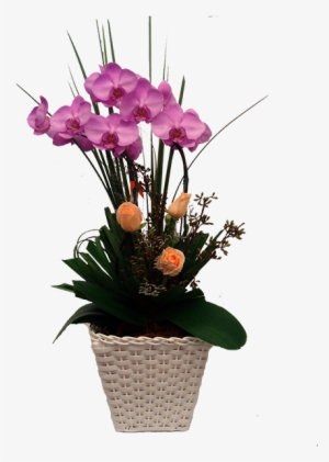 Orquídea Lilas Com 02 Hastes - Vaso De Orquidea Png #2963784