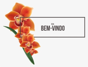 O Bistrô E Pousada Orquídea Café É A Sua Melhor Opção - Orchids Of The Philippines #2963897