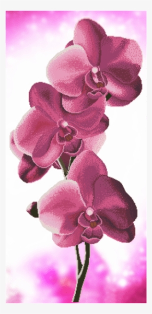 Kit De Bordado, Punto De Cruz, Esquema Para El Bordado - Орхидея Вышивка Бисером Схемы #2964053