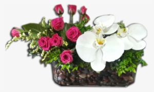 Orquídeas Y Rosas - Photography #2964168