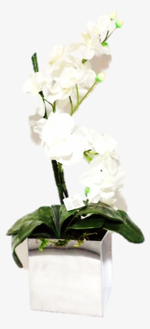 Arranjo Orquídea Branca, Vaso Inox Quadrado Cod - Vaso Com Orquidea Png #2964196