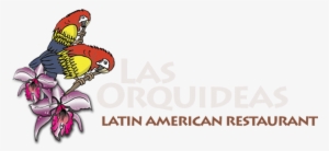 Restaurant Las Orquideas #2964397