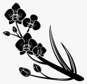 Vinilo Decorativo Orquídeas - Black Women And Singlehood: From Our Perspective #2964417