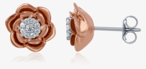 Belle Earrings Disney Enchanted #2966222