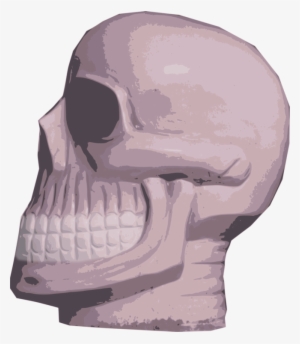 Nose Skeleton Skull Jaw Mouth - Skull #2966696