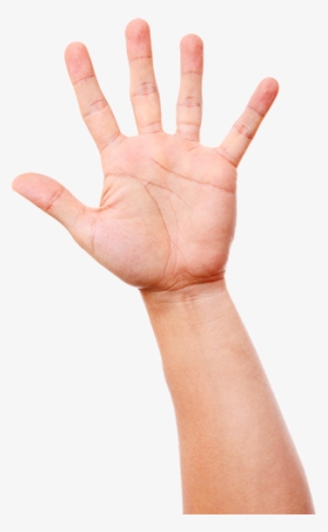 I Don't Drink Alcohol, Smoking, Nor Doing Illegal Drugs - Capsule #2966852