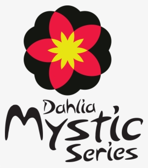 Dahlia Mystic Wonder Pbraf - Dahlia #2967262