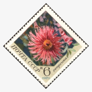 The Soviet Union 1970 Cpa 3944 Stamp - Postage Stamp #2967591