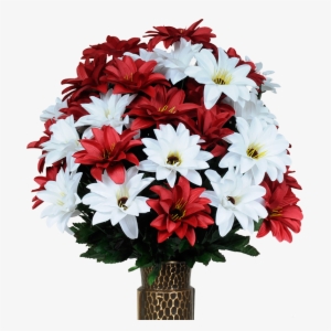 Red & White Dahlia - Dahlia #2967767