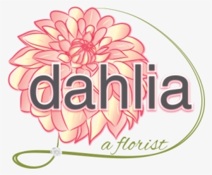 Dahlia A Florist #2968097