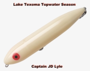 September Topwater Season Lake Texoma - Fishing Lure #2968471