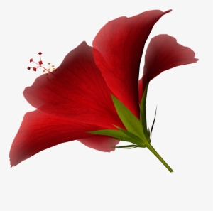 Waving American Flag Gif - High Res Clipart #2969219