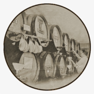 Diapositivas-3 - Reversal Film #2969295