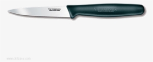 Victorinox 40600 Paring Knife,3-1/4 #2969734