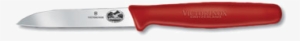 Victorinox Swiss Army 40604 Victorinox® Paring Knife, - Knife #2969942