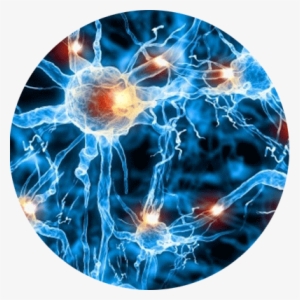 Damaged-nerves - Moving Pictures Of Science #2970314