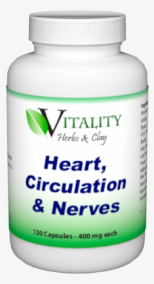 Heart, Circulation & Nerves - Muscle #2970501