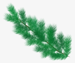 Fir, Branch, Pine Needles, Needles, Winter, Green - Pine #2971838