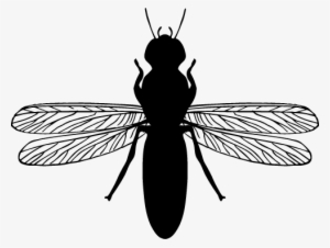 Straight Antenna - Termite #2972956