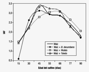 Índice De Área Foliar Del Cultivo De Maíz En Asocio - Indice De Area Foliar #2973290