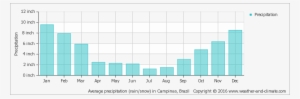 Average Precipitation In Campinas, Brazil Copyright - Average Rainfall In Cyprus #2973527