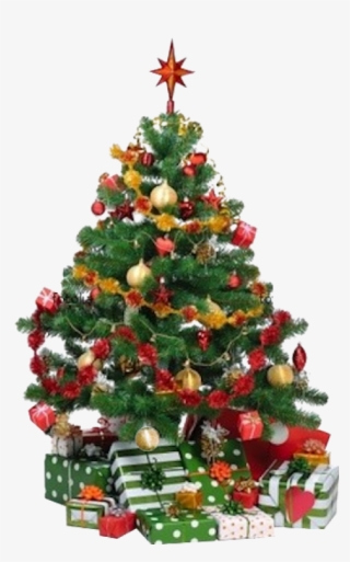 Christmas Pine Cones, Christmas Tree Care, Beautiful - Animated Moving Christmas Tree #2973786