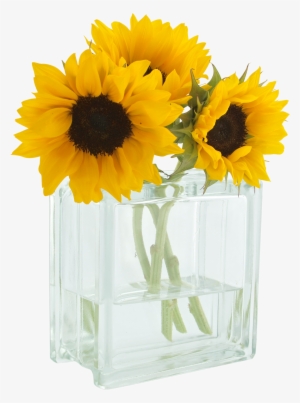 You Are My Sunshine - Good Morning Yellow Beautiful Flowers #2973834