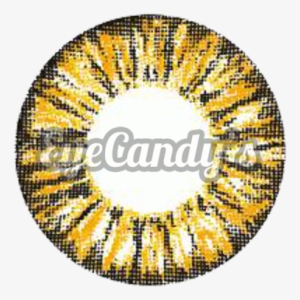 Circle Contact Lens #2974068