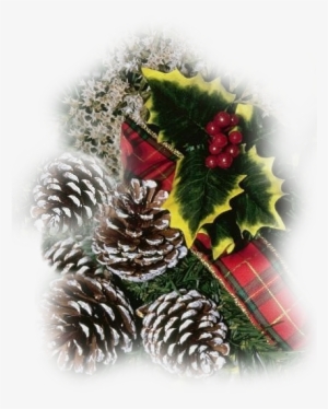 Christmas Gifs,png - Claire Worthington: Christbaumschmuck - Neue Ideen #2974488