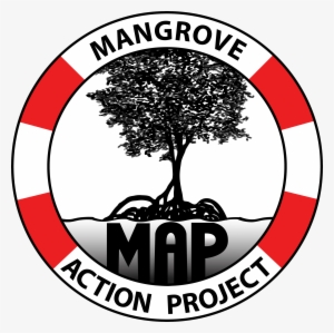 Mangrove Action Project #2974667