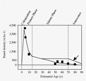Changes In Stem Density As A Mangrove Stand Matures - Science #2974798