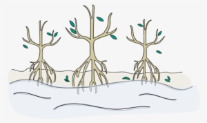 Estimates Say We'll Lose Our Mangrove Forests By 2100 - Icon #2974863