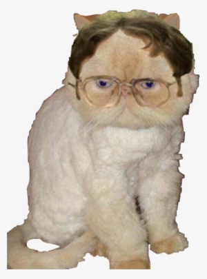 Report Abuse - Angela The Office Cat #2975040