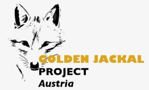 Golden Jackal Project In Austria #2975960