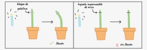 Flowerpot #2976827