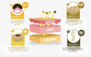 ¿sabes Qué Es La Luz Visible Y La Radiación Infrarroja - Radiacion Solar En La Piel #2977114