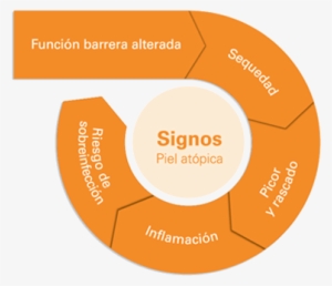 Fuente Los Signos De La Piel Atópica Son Como Un Círculo - Atopic Dermatitis #2977131