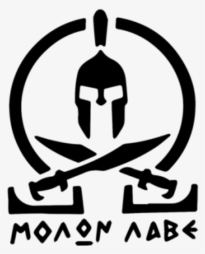 Large Patch Only - Rear Slide Cover Plate Silver For Glock Models 17 17l #2977443