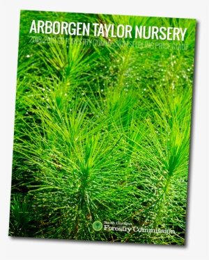 15 Jun - Price #2978127