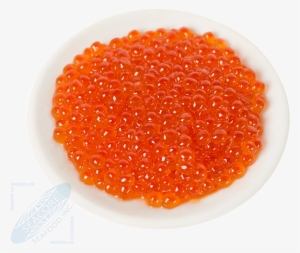 Salmon Caviar Ikura Oncorhynchus Kisutch, Oncorhynchus - Caviar #2978764