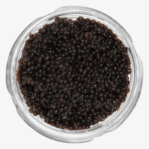 Food - Caviar - American Bowfin Caviar #2978799
