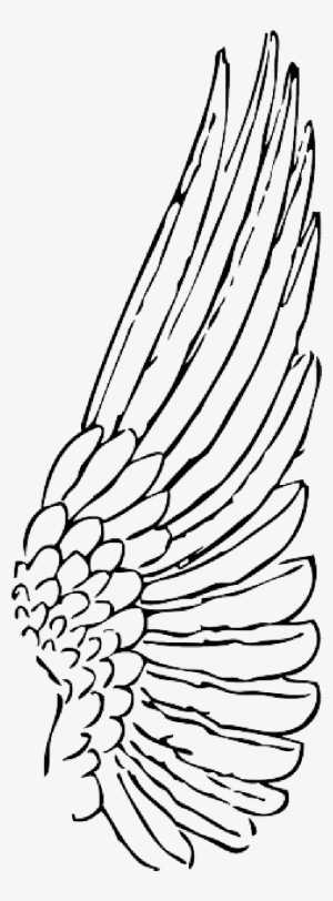 Wings Clipart Bird Wing - Wing Clipart #2979381