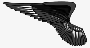 Wings Png - Angel Wings Left Png #2979843