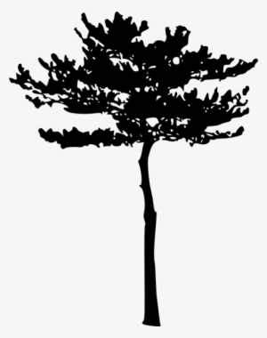 Free Png Tree Silhouette Png Images Transparent - Environment Day #2981075