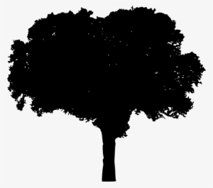 Free Png Tree Silhouette Png Images Transparent - Portable Network Graphics #2981097