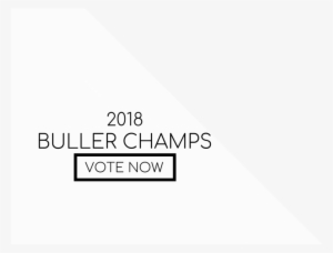 Vote Now Button #2981256