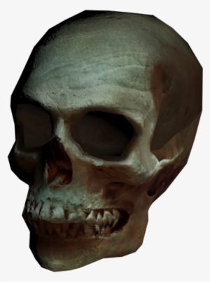 Download Zip Archive - Skull #2981315