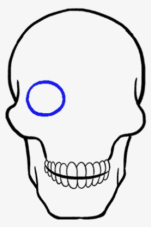 How To Draw Skull - Drawing #2981418